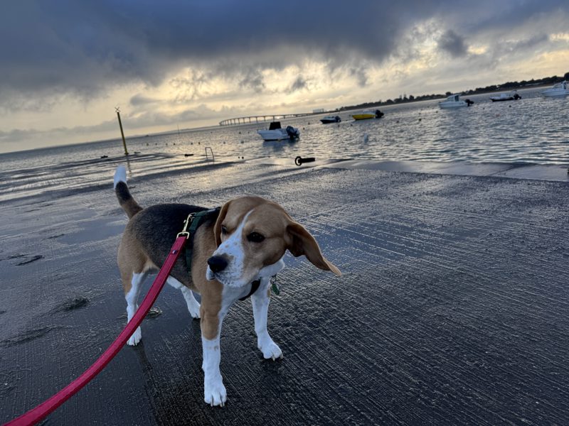 journée à l’île de Ré