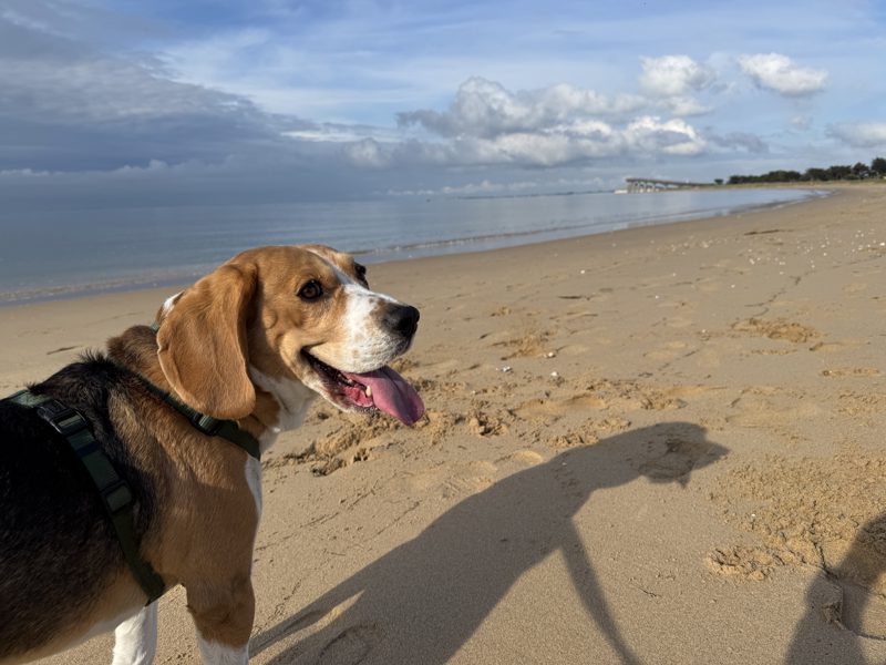 journée à l’île de Ré