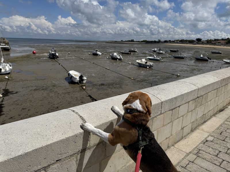 Deuxième journée à l’île de