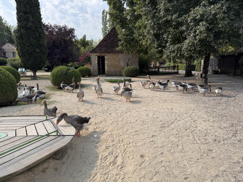 Visite du Parc du Bournat