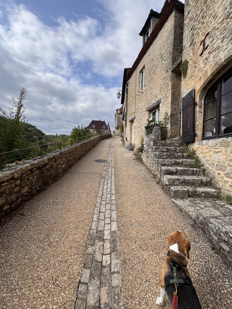Visite du village typique de Limeuil