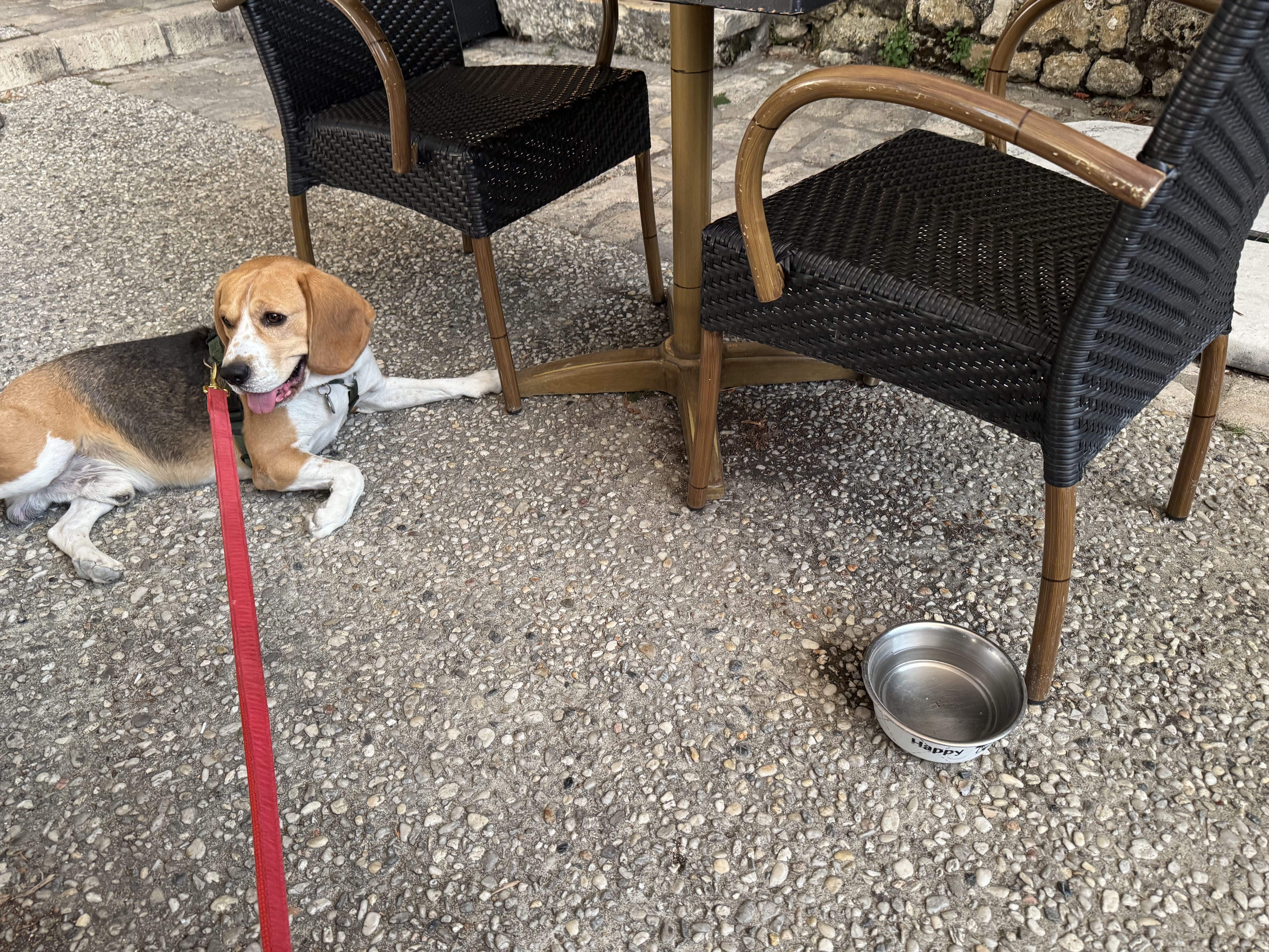 Le comptoir Vauban